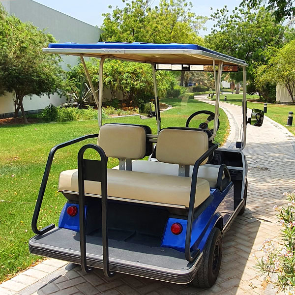 Blue golf cart on road